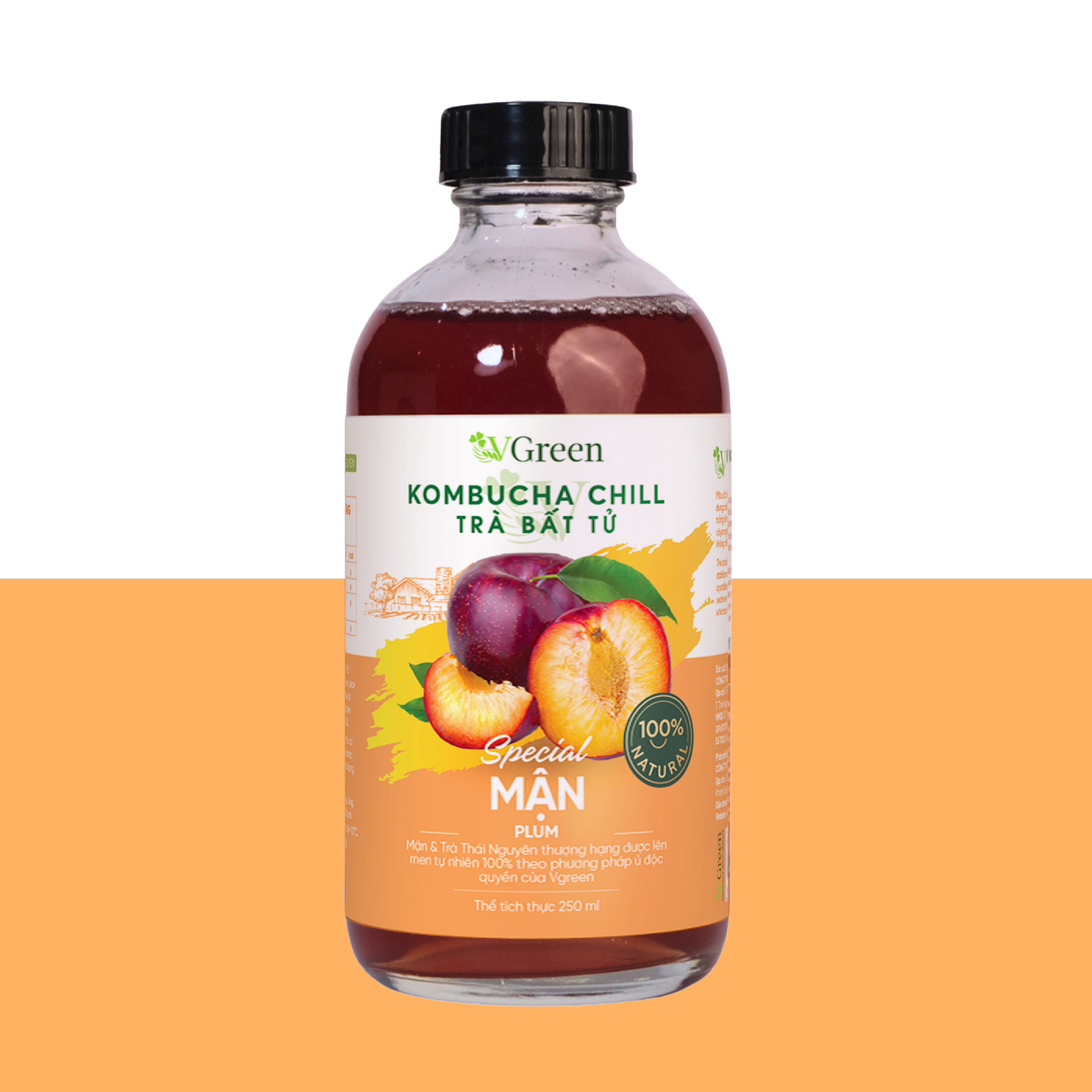 Vkombucha Chill Mận 250ml TT